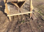 Grajewo ogłoszenia: Sprzedam 22 komorową klatkę dla królików.  Możliwość... - zdjęcie