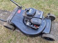 Grajewo ogłoszenia: Nóż uderzył w kamień i padła. Bez tchu. Może komuś na... - zdjęcie